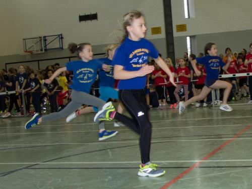 Hallenschulsportfest15021